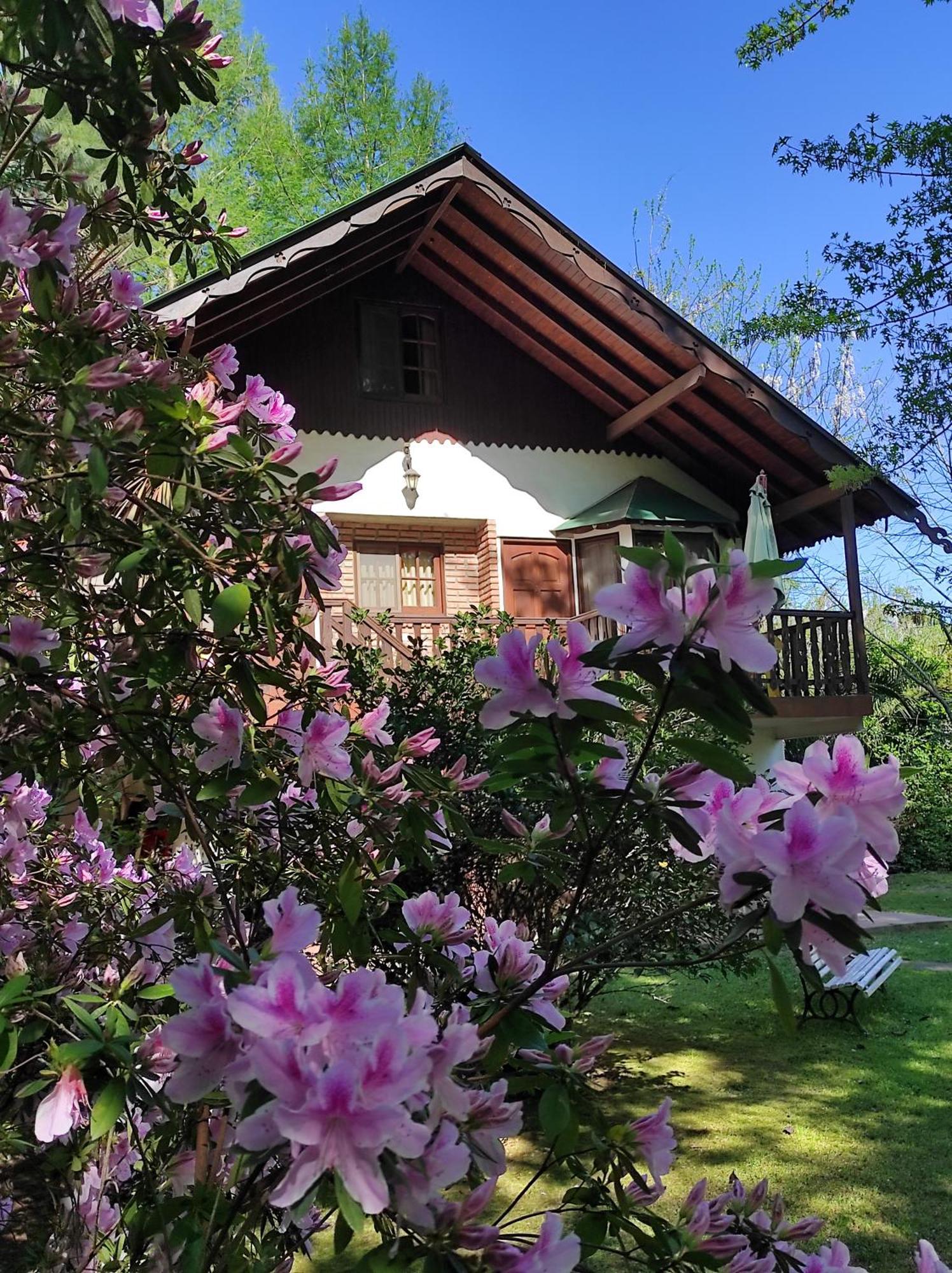 Alpenhaus Bier Und Gasthaus Tigre Esterno foto